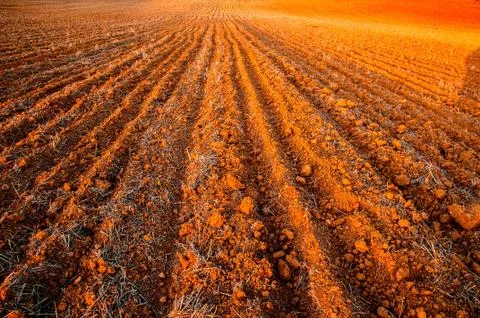 Plowed field crops Stock Photos