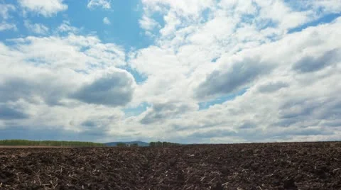 Plowed field Stock Footage 22125764