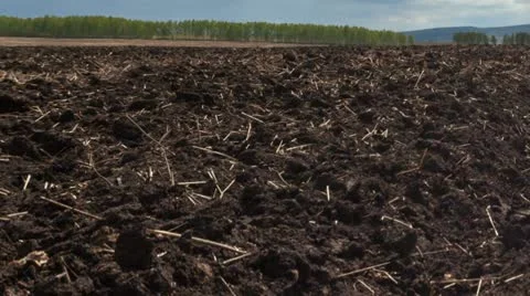 Plowed field Stock Footage 22126438