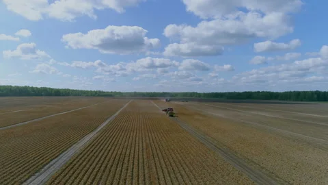 Plowed field 库存影片 93140811