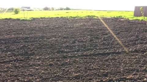 A plowed field in a garden plot on a sunny spring day. Wiring from left to right Stock Footage 167772259