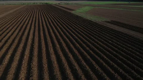Plowed field in N.C. Stock Footage 153367468