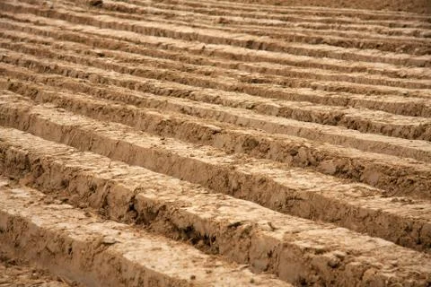 Plowed field Stock Photos