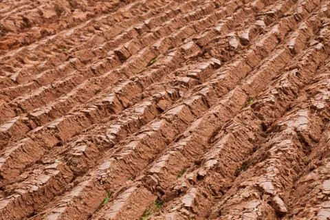 Plowed field Stock Photos