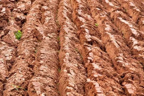 Plowed field Stock Photos