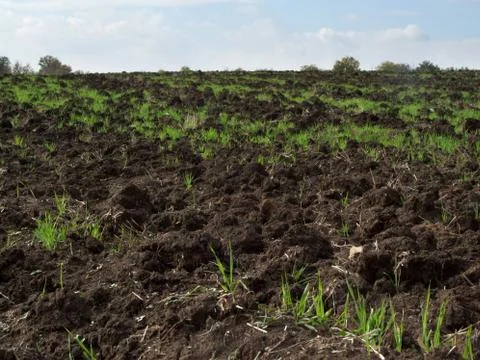 Plowed field Stock Photos