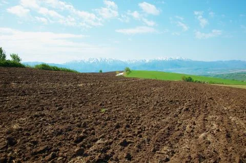The plowed field Stock Photos