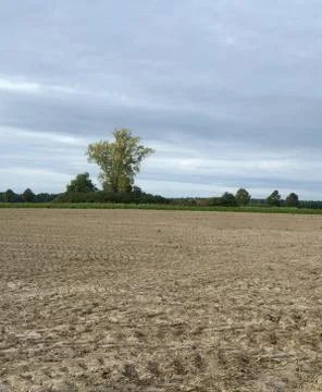 Plowed field Stock Photos