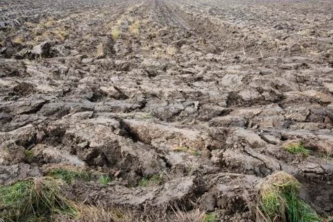 Plowed field Stock Photos