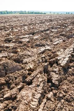 Plowed field Foto stock