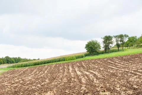 Plowed field Stock Photos