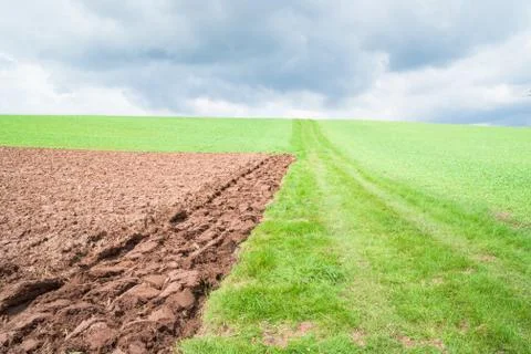Plowed field Stock Photos