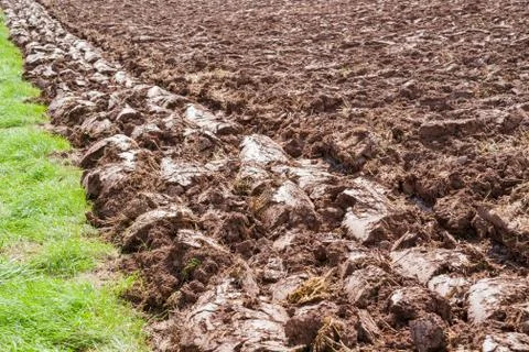 Plowed field Stock Photos