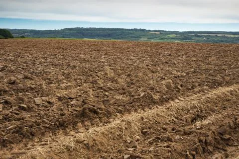 Plowed field Stock Photos