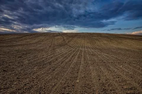 Plowed field Stock Photos