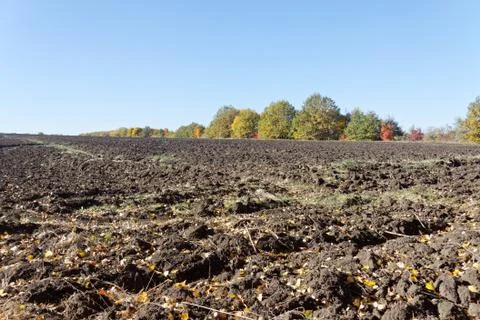 Plowed field Foto stock