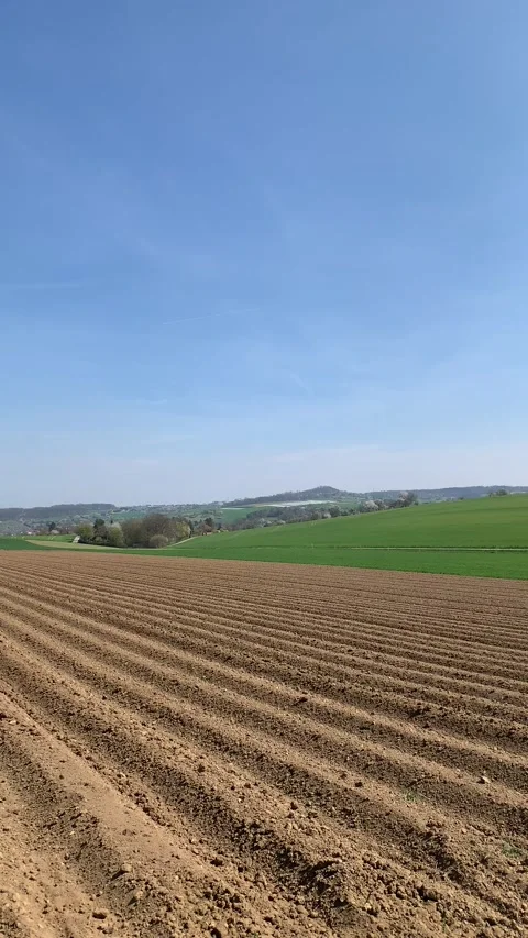 Plowed field ready for planting under blue sky Stock Footage 320406572
