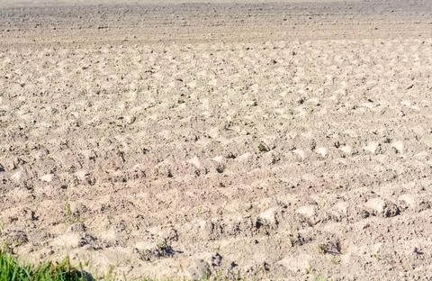 Plowed field. Spring arable land. Spring field work Stock Photos