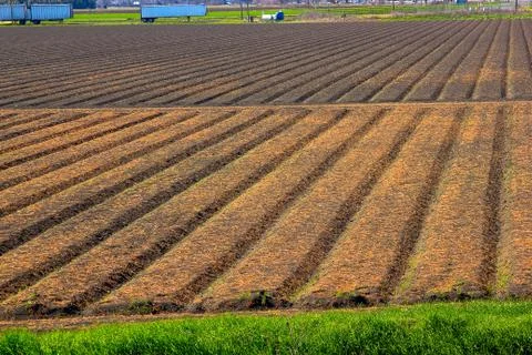 Plowed field at spring. Stock Photos