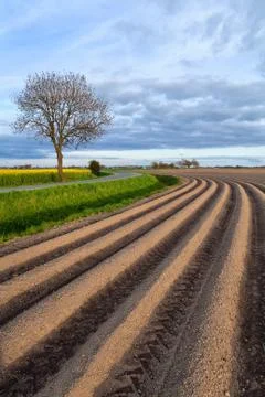 Plowed field in spring Stock Photos