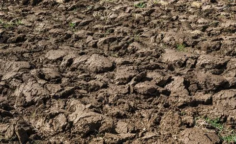 Plowed field in spring Stock Photos