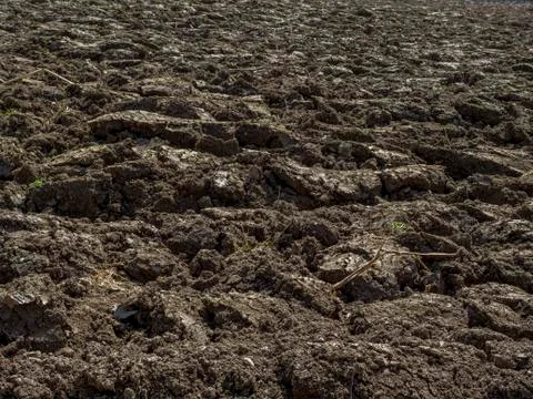 Plowed field in spring Stock Photos