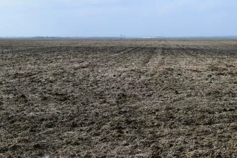 The plowed field. Spring processing of farmlands. Foto stock