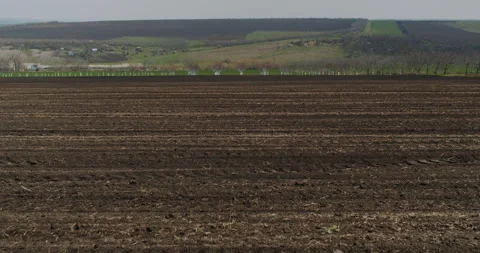 Plowed field in spring time with blue sky. Black plowed field and blue sky Video stock 153840668