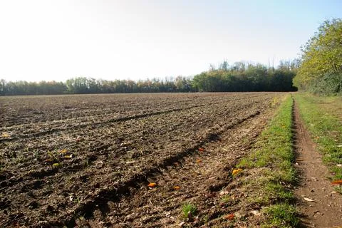 Plowed field in spring time with blue sky. Stock-Fotos