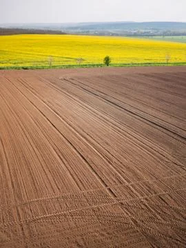 Plowed field in spring-time with tractor tyre track Stock Photos