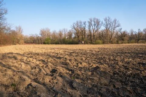 Plowed field in spring with trees and sitting in the background Stock Photos