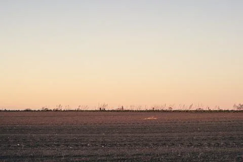 Plowed field in the sunset at dawn Stock Photos