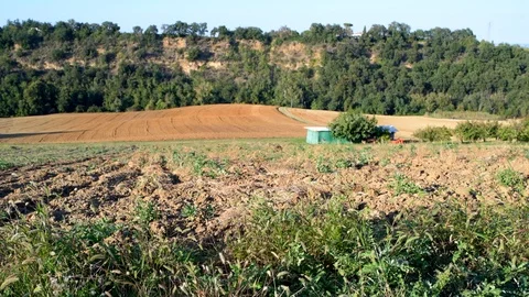 Plowed field at sunset Stock Footage 95928019