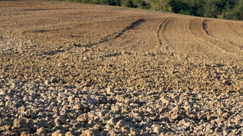 Plowed field at sunset Stock Footage 95928071