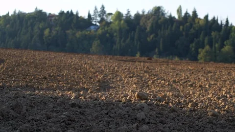 Plowed field at sunset Stock Footage 95929755