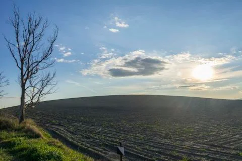 Plowed field in a sunset Stock Photos