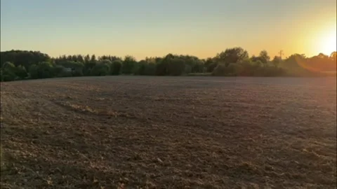 Plowed field at sunset with trees on the horizon. Stock Footage 342103986