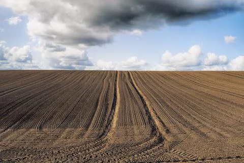 Plowed field with tracks under a blue sky Stock Photos
