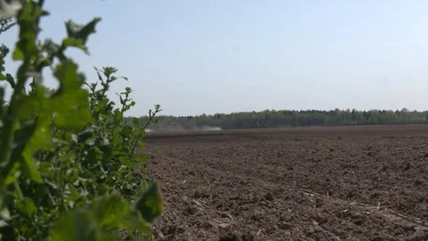 Plowed field under blue sky. 스톡 동영상 316516893