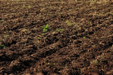 Plowed field use as background Stock Photos