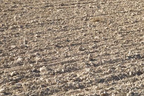 Plowed field view 스톡 사진