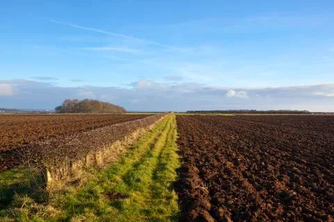 Plowed fields and hedgerow Stock Photos