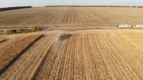 Plowed fields 動画素材 44319108