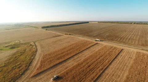 Plowed fields Stock-Footage 44322570