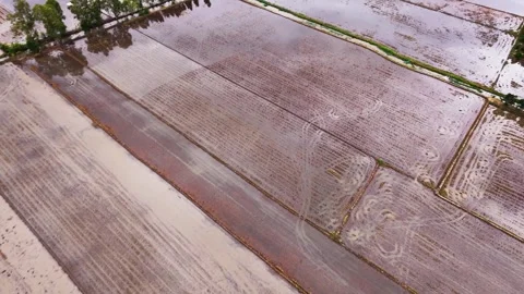 Plowed fields prepared for the next crop season Stock Footage 339997955