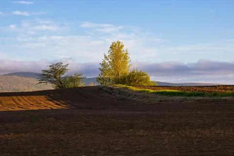 Plowed fields seen during an early spring morning Stock Photos