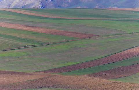 Plowed fields in spring with a condensed perspective Stock Photos