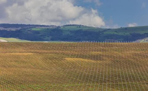 Plowed fields in spring with a condensed perspective. Stock Photos