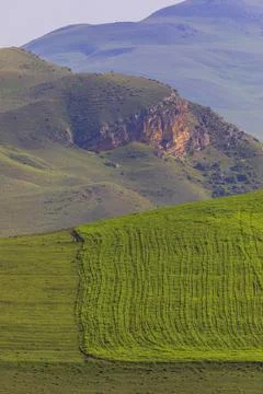 Plowed fields in spring with a condensed perspective.. Stock Photos