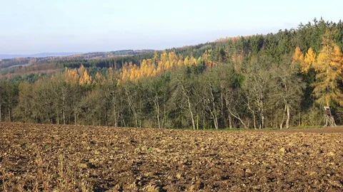 Plowed fields surrounded by forests. Video stock 82648877